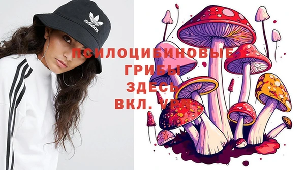 Альфа ПВП Белокуриха