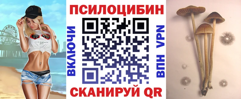 Псилоцибиновые грибы мицелий  где продают наркотики  Кирсанов 